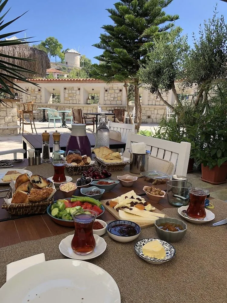 Erendira Hotel - Special Category Alaçatı